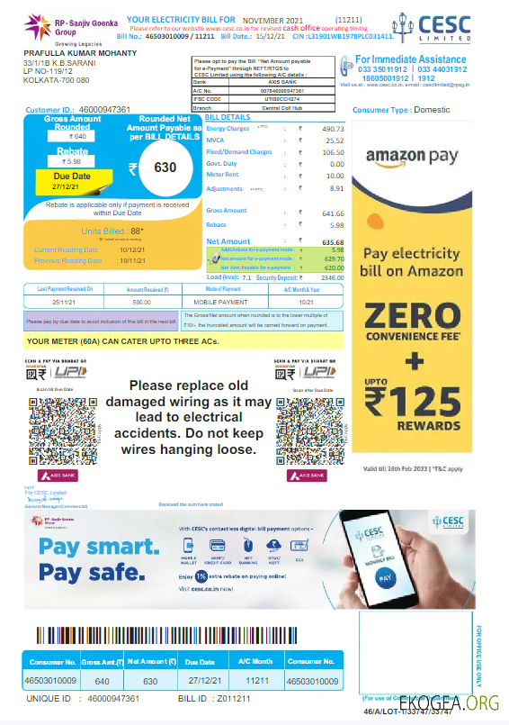 INDIA CESC LIMITED utility bill Word and PDF template, version 2